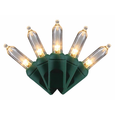 Celebrations Celebrations Platinum LED T5 Warm White 50 ct String Christmas Lights 25 ft. T550WWSA